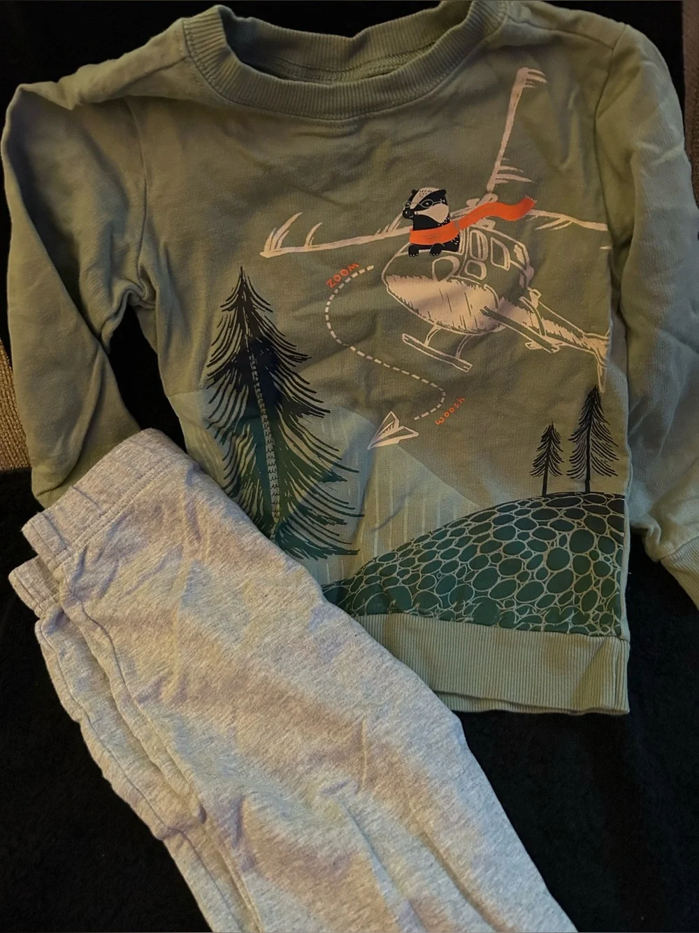 Carter's Light Green Helicopter & Raccoon Graphic Sweatshirt